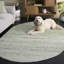 Tapis de performance abstraite Arrietty-1460709161