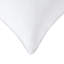  Coussin Feather-1250496723