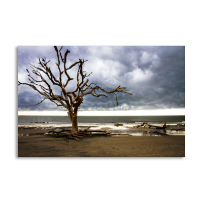 " Storm Is Coming I " by Alan Hausenflock