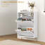 12 Pair Flip Down Shoe Storage