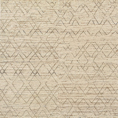 Geometric Indoor Rug