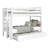 Treva Solid Wood Standard Twin over Twin Bunk Beds with Ladder and Twin Trundle-1081052640