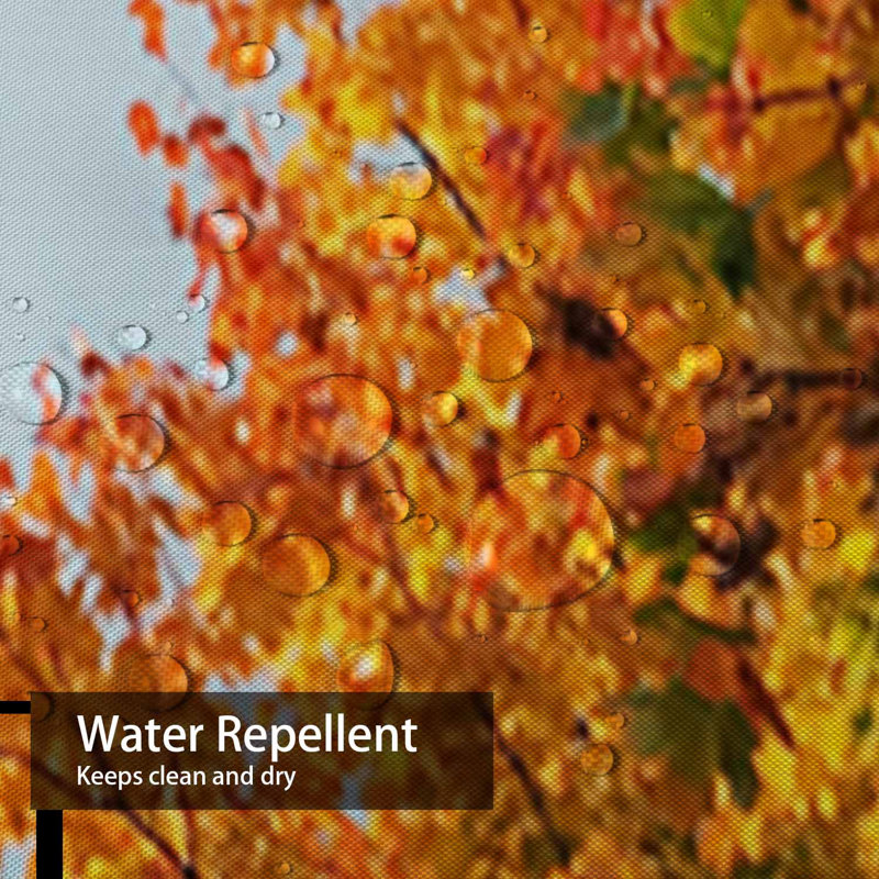 Rideau de douche Dark Autumn, L 72 po x l 72 po
