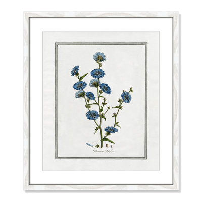 Colombe "Soft Botanical I" Print