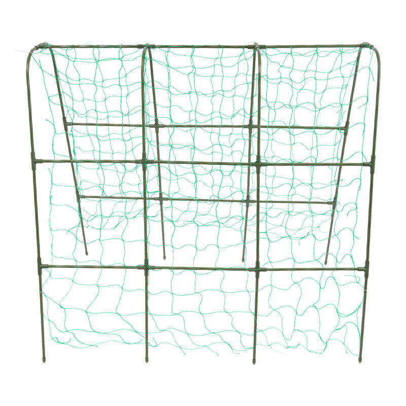 Treillis de jardin pour les plantes grimpantes