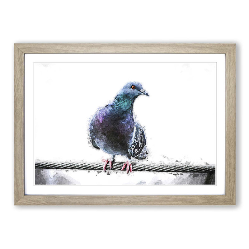 Pigeon Bird on a Wire - Picture Frame Painting Print on MDF, Oak Framed, 36cm H x 48cm W x 2cm D