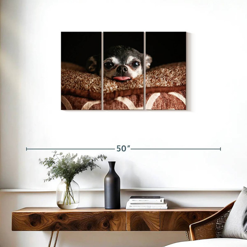 Chihuahua Brampt ludique, H 20 po x l 33 po