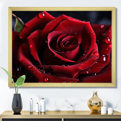 Rose rouge avec gouttes de pluie I - art mural floral encadré