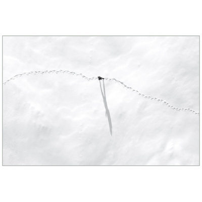 Serene Hike 3 Print by Thom Filicia