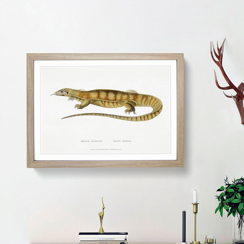 Yellow Monitor Lizard by John Edward Gray - Picture Frame Painting Print, 48cm H x 65cm W x 2cm D, Oak Framed