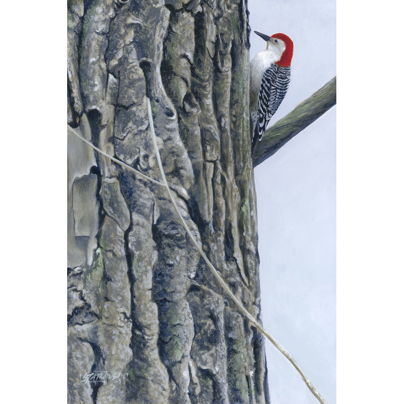 Red Bellied Woodpecker II 1 Piece Wrapped Canvas Painting, 91cm H x 61cm W