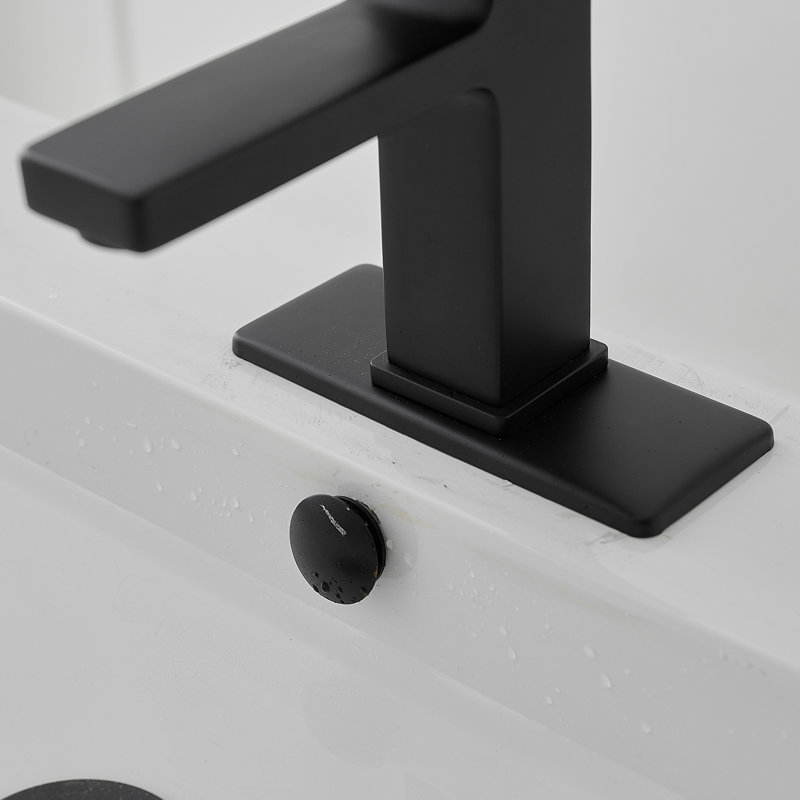 Matte Black Single-Handle Bathroom Faucet with Drain Assembly