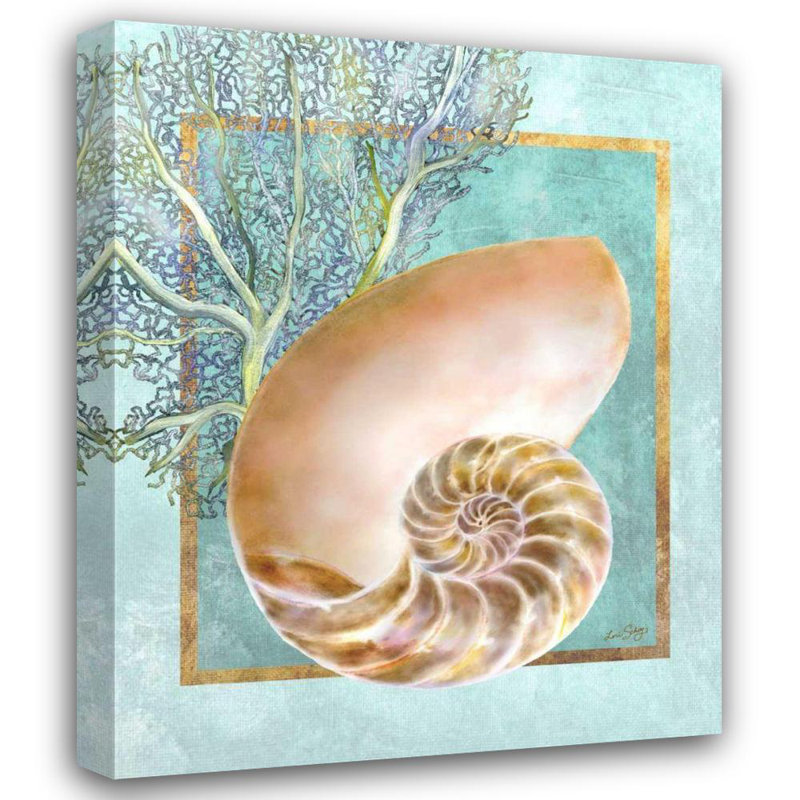 «Dovecove Schory», art sur toile tendue par Lori Gallery: Nautilus Shell and Coral, H 44 po x l 36 po