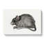 A Mouse by Jean Bernard - Wrapped Canvas Painting-55368261