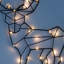 Christmas Decoration