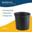 Mass Cane in Grower Pot
