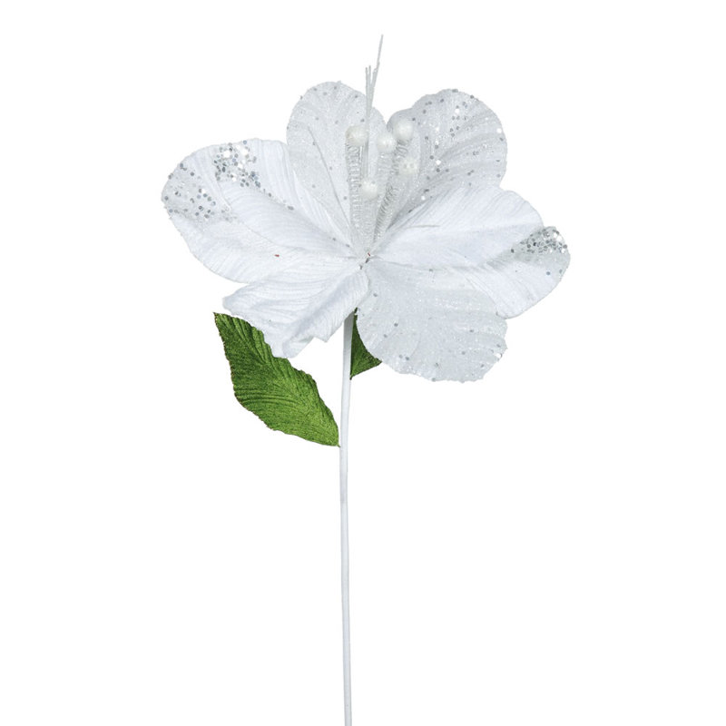 Fleurs Amaryllis, Blanc
