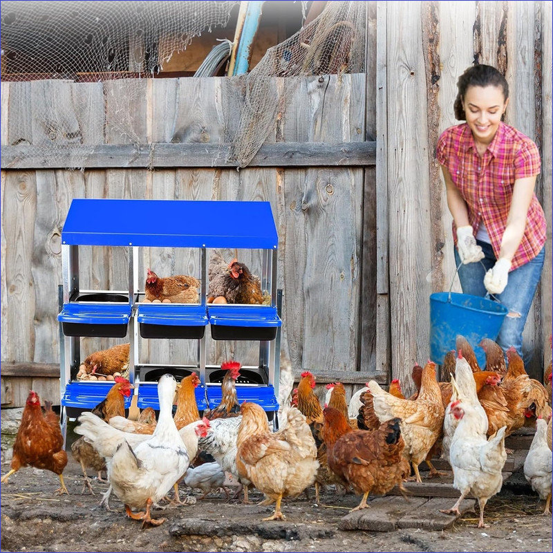 Nesting Boxes, 95cm H x 81cm W x 52cm D