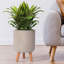 Concrete Effect Cylinder Round Planter on Hardwood Legs, Round Indoor Plant Pot Stand for Indoor Plants, Indoor Flower Pot with Plaited Pattern-703551397-703551394