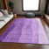 Premium Machine Washable Prisco Purple Rug