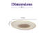 Assiette ovale en porcelaine de qualité supérieure JAGUAR | Plateau ovale surélevé | Va au micro-ondes et au lave-vaisselle