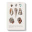 Mollusc Shell Illustrations PL. 25 by Charles D Orbigny - Wrapped Canvas-55362963
