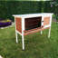 Lovisa Weather Resistant Rabbit Hutch