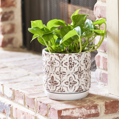 Jardinière rustique française 5,9 pouces