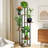 Plant Stand 6 Tier Indoor Metal Flower Shelf for Multiple Plants Corner Tall Flower Holders for Patio Garden Living Room Balcony Bedroom