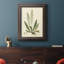 «Curtis Ferns III», reproduction sur toile encadrée-73981157