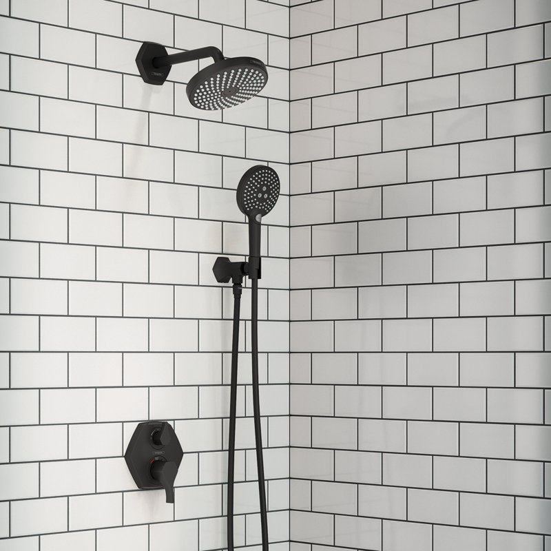 Raindance S Powder Rain Handheld Shower Head with Select, 1.75 GPM, Polished Nickel