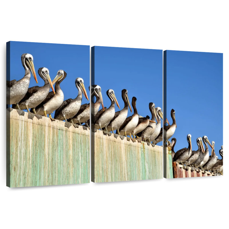 Brampt Pelican Party, 24" H x 38" W