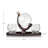 Globe Decanter and Whiskey Tumbler Set