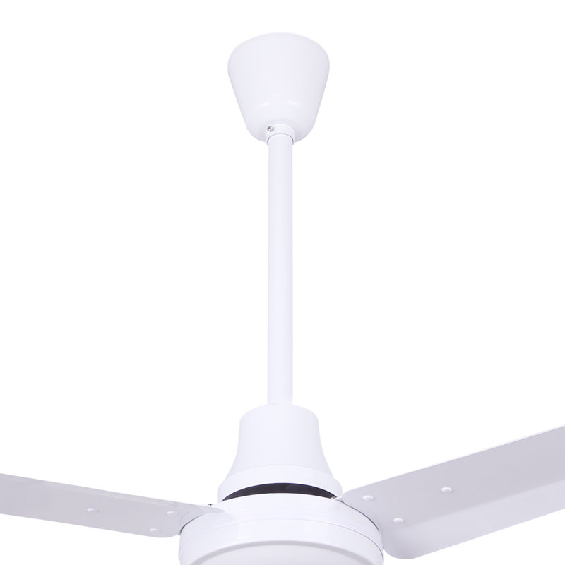 Doyle 3 - Blade Propeller Ceiling Fan, White, 48" Wide