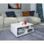 Razny Coffee Table with Storage-1616683769
