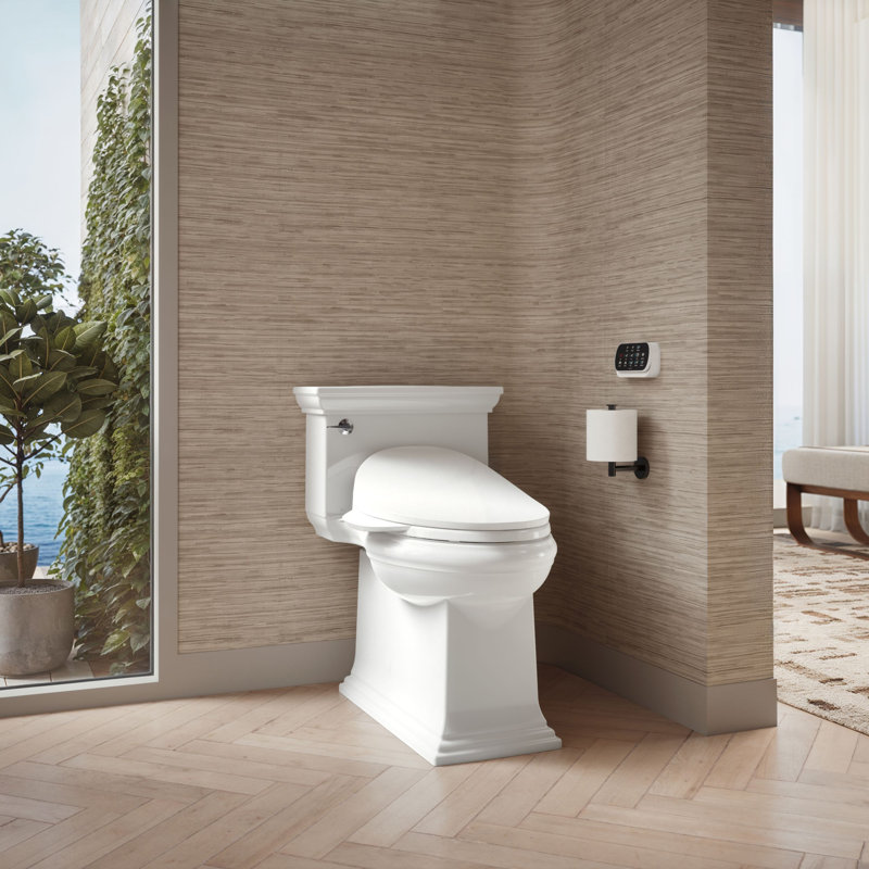 C3® Toilet Seat Bidet Elongated Bidet Seat, White