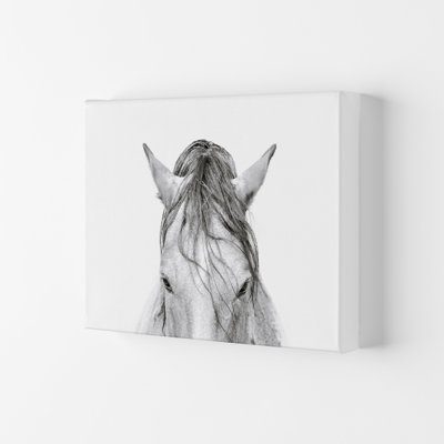 Horse II 1 Piece Wall Art
