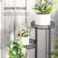 Plant Stand