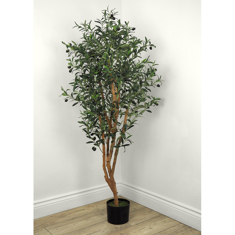 Faux olivier botanique de couleur verte, hauteur de 52 pouces, H 63 po x l 24 po x P 24 po