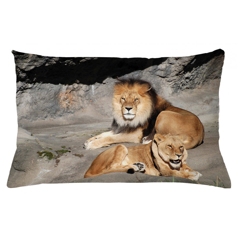 Housse de coussin lombaire intérieur/extérieur zoo, 16 po x 26 po