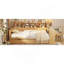 Lit de jour multifonctionnel en bois avec rangement et bureau d'étude pour tous les besoins-846343966