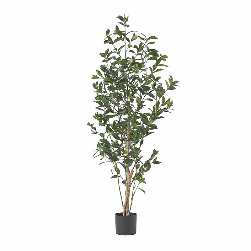 150Cm Artificial Laurel Tree, 64" H x 24" W