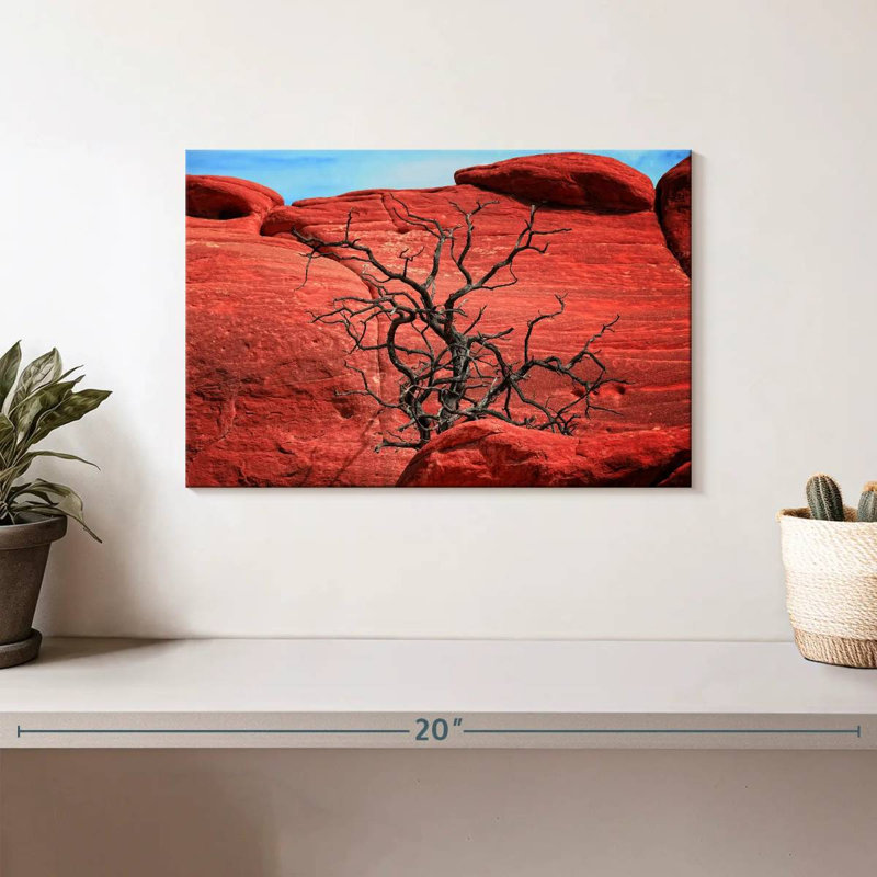 Harnek Dead Tree By Red Rocks, 8" H x 12" W