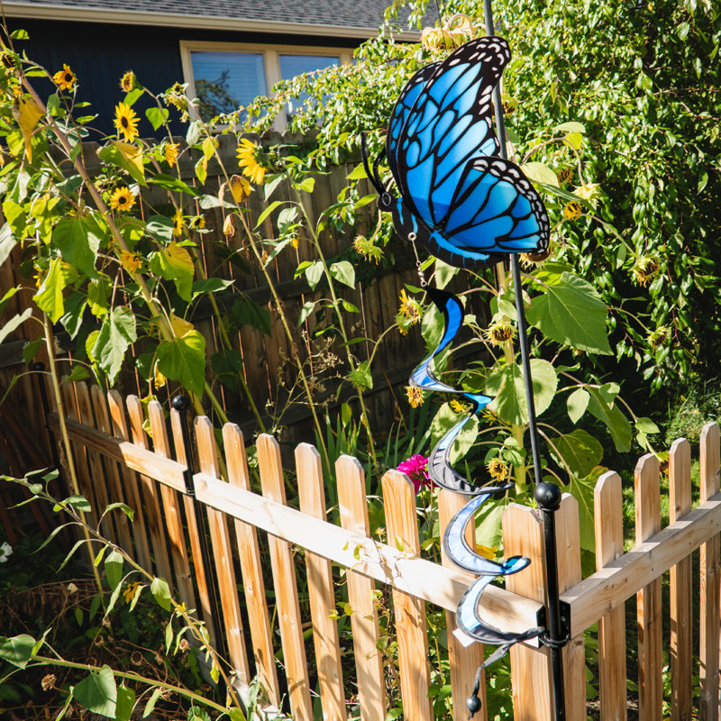 Thème Blue Morpho Twister