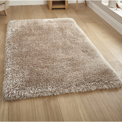 Hetzel Hand Tufted Shaggy Area Rug