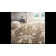 Ellyona Shag Performance Floral Rug