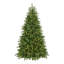 Sapin Fraser avec PowerConnect et lumières DEL bicolores Princeton Fraser Fir-1215022846