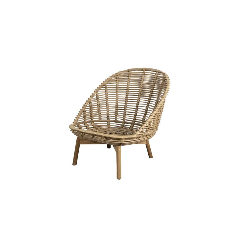 Hive Lounge Chair with Teak Legs
