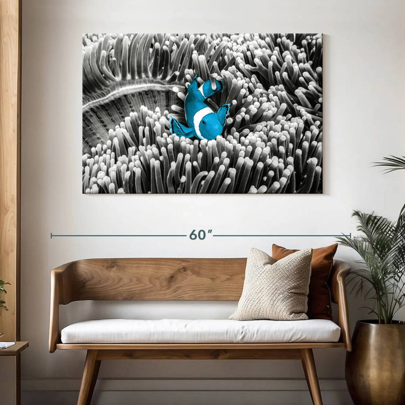 Brampt Clownfish Pop, 32" H x 48" W