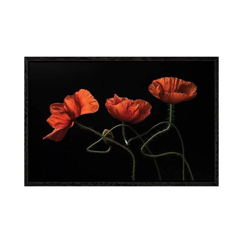 Around Midnight #2 by Lenka - Print on Canvas, 45.72cm H x 66.04cm W x 3.81cm D, Black Floater Framed